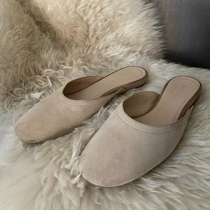 Everlane Beige Suede Slides